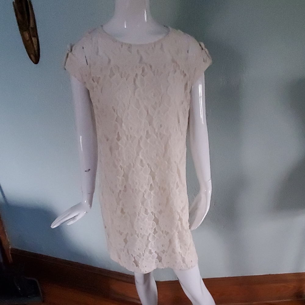 Cynthia Steffe dress